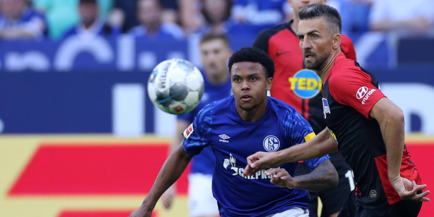 Comunio-Gerüchteküche: Ibisevic vor Schalke-Wechsel – Leverkusens Alario vor dem Abflug?